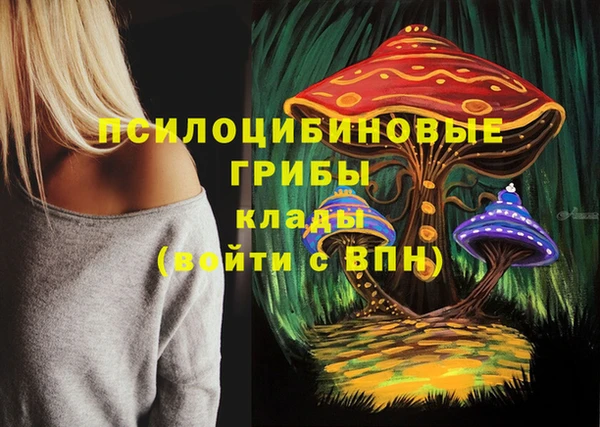 винт Верея